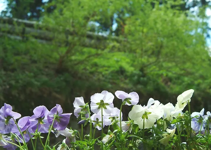 Otel Capanna C.a.o. Brunate