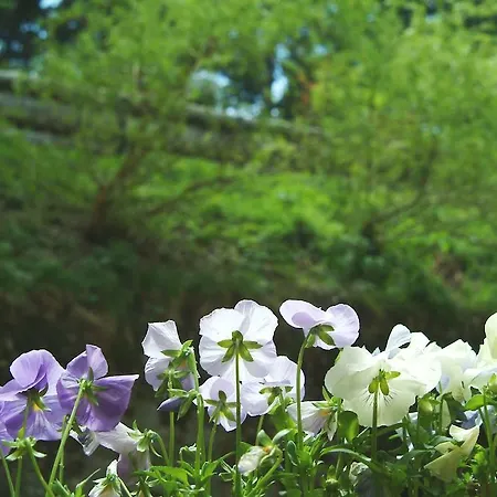 Hotel Capanna C.a.o. Brunate